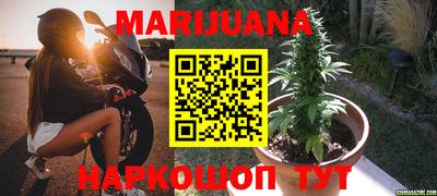 крисы Краснознаменск