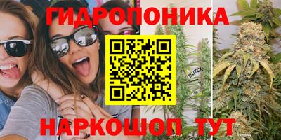 крисы Краснознаменск